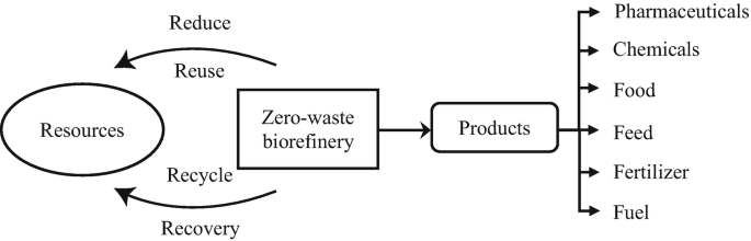 Biochemical biorefinery: A low-cost and non-waste concept for