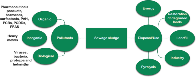 Chart for disposal alternatives and major contaminants present in sewage sludge. Chart has a box at center with sewage sludge written, this branch into pollutants on right and disposal on left. Pollutants later branch into various types and so does disposal or use.