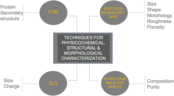 An illustration displays 4 techniques for physicochemical, structural and morphological characterization. F T I R measures proteins and secondary structure. Electron microscopy A F M measures size, shape, morphology, roughness, and porosity. D L S measures size and charge. 2 D S D S page, M A L D I-T O F, and W BLOT measures composition and purity.