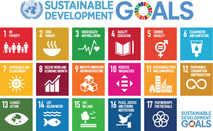 The Sustainable Development Goals in a VUCA World
