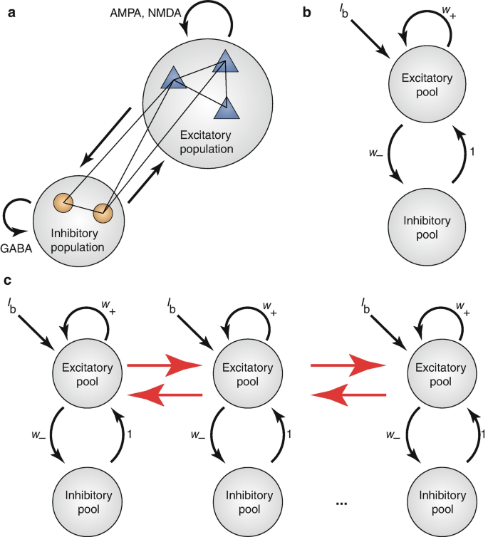 A three-part illustration of a brain network model, a to c. A has the connection of A M P A, N M D A and G A B A. B has the connection of excitatory and inhibitory pools, and C has the connection of excitatory and inhibitory pools through global and local networks.