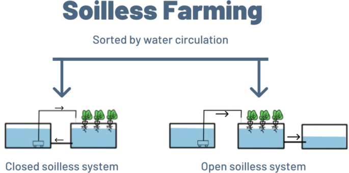 An illustration of soilless farming. The heading soilless farming, sorted by water circulation is categorized into closed and open soilless systems. Closed has 2 following containers pointing to each other; a container with water and a container with water and plants. Open has 2 similar containers pointing to a container half-filled with water.