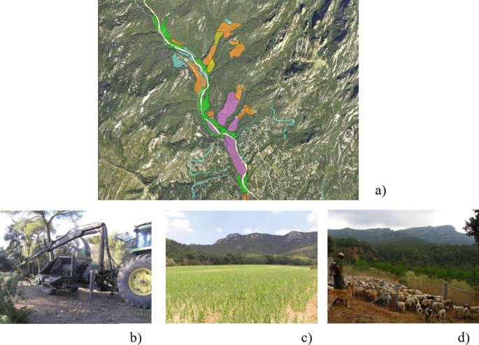 4 images. A, an aerial topographical map marks a main water stream, B depicts felling of trees, C depicts a farmland, and D depicts a shepherd with a flock of sheep and goats.