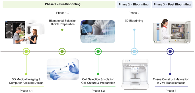 PDF) Bioprinting Applications in Craniofacial Regeneration