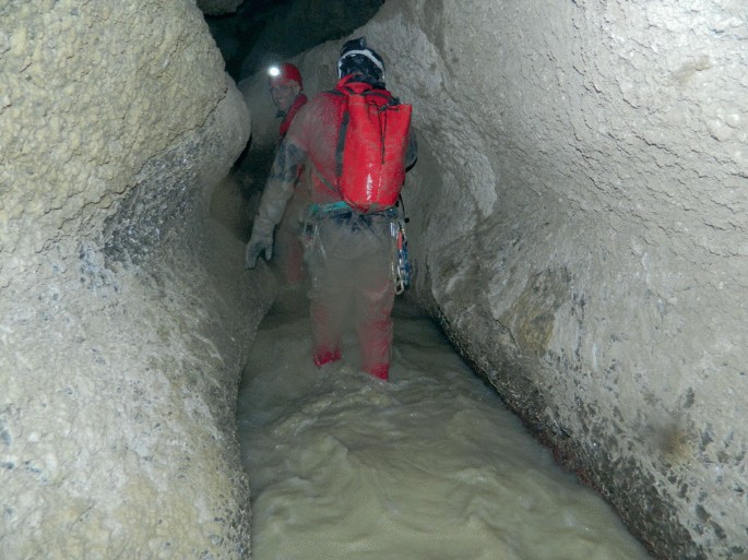 Cave de maturation Taurillon V2