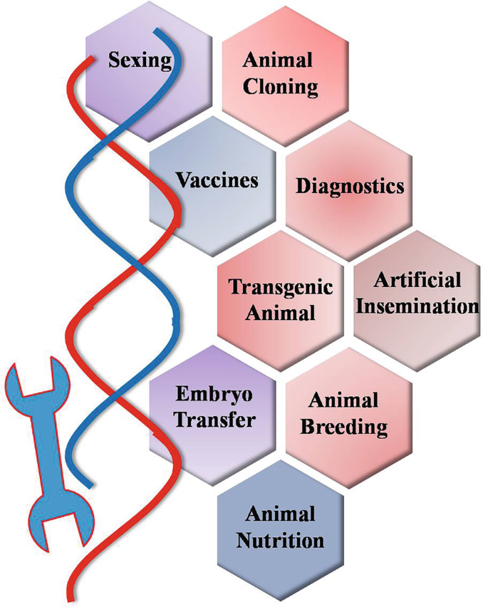 Genetic Engineering Tools and Techniques in Livestock Production | SpringerLink Genetic Engineering Tools and Techniques in Livestock Production | SpringerLink