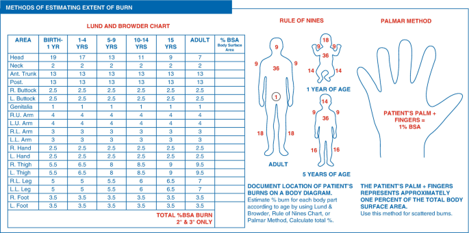 An illustration of the methods to estimate the burn extent. It has the Lund and Browder chart, the rule of the nines chart, and the palmar method.