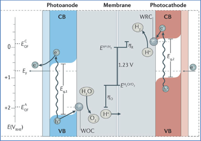 Model diagram of P E C device is divided into three sections called photoanode, membrane, and photocathode.