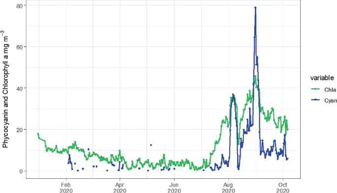 A graph of chlorophyll a and phycocyanin concentrations in milligrams per meter cube in the year 2020, from February to October. The highest peaks of Cyan and Chla are at 80 and 45 between August and October 2020.