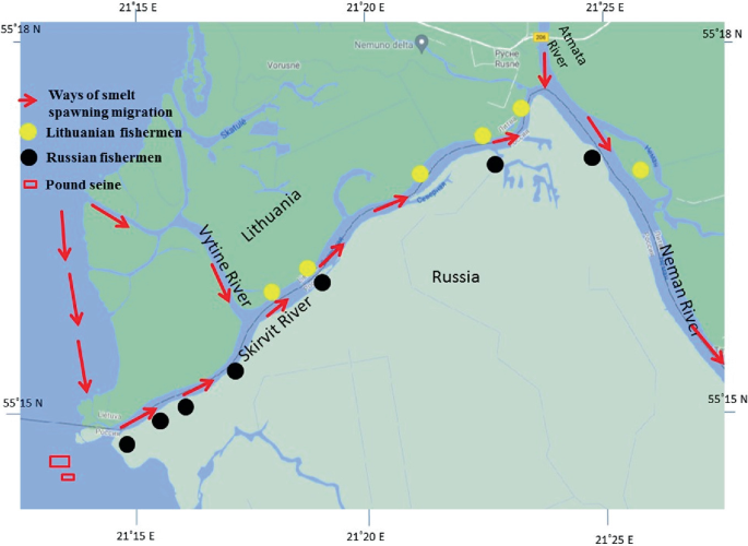 A map of the fishing brigades and their ways of smelt spawning migration starts from Vytine and Skirvit rivers and joins to Atmata river, and Neman river. Here, the Lithuanian fishermen are on the left side of the Vytine and Neman rivers. The Russian fishermen are on the right side of the Vytine and Neman rivers.