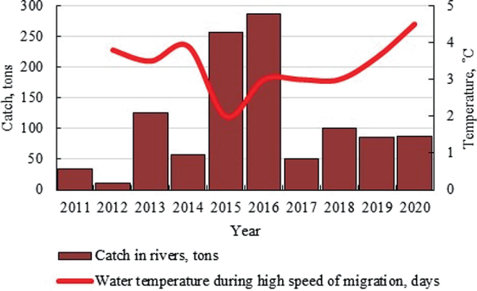 A graph of catch versus year is evaluated. In 2011, the catch in rivers is 40. In 2015, the catch in rivers is 260. In 2016, the catch in rivers is 290. In 2020, the catch in rivers is 90. In 2012, the temperature is 4, and get falls in 2015 to a temperature of 2. It increases in 2016, the temperature is 3. In 2020, its temperature is 4.5.