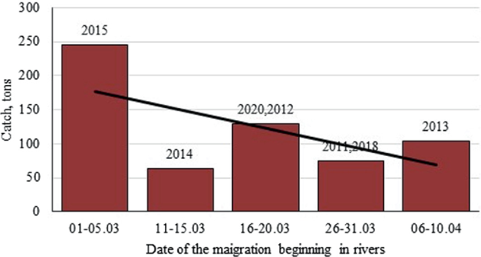 A graph of catch in tons versus date of the migration beginning in rivers. In 2015, the date of migration begins on 01.05.03. In 2014, the date of migration begins on 11.15.03. In 2020 and 2012, the date of migration begins on 16.20.03. In 2011,18, the date of migration begins on 26.31.03. In 2013, the date of migration begins on 06.10.04.