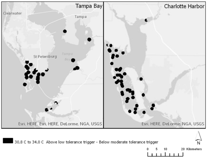 A set of two maps. Tampa Bay highlights FIM sampling areas in the southern tip of Saint Petersburg, while Charlotte Harbor highlights areas in the southwestern area.