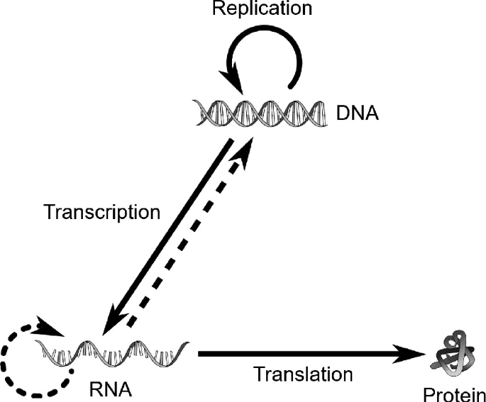 Sequence Analysis