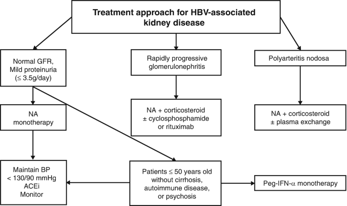 A flow diagram for the treatment approach for H B V associated kidney has 3 cases. Case 1 with normal G F R and mild proteinuria. Case 2 with rapidly progressive glomerulonephritis. Case 3 with polyarteritis nodosa.