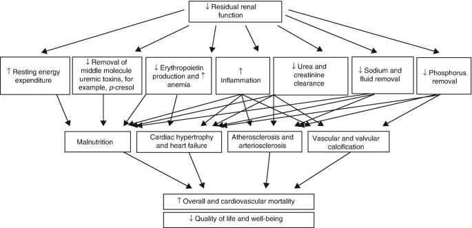 A chart illustrates the impact of reduced residual renal function. It includes physiological changes and symptoms leading to increased cardiovascular mortality and reduced well-being.