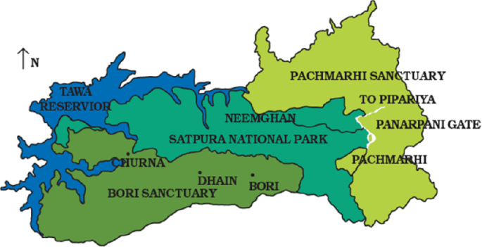 Soil and Vegetation in Pachmarhi Biosphere Reserve and Their Correlation | SpringerLink Soil and Vegetation in Pachmarhi Biosphere Reserve and Their Correlation | SpringerLink