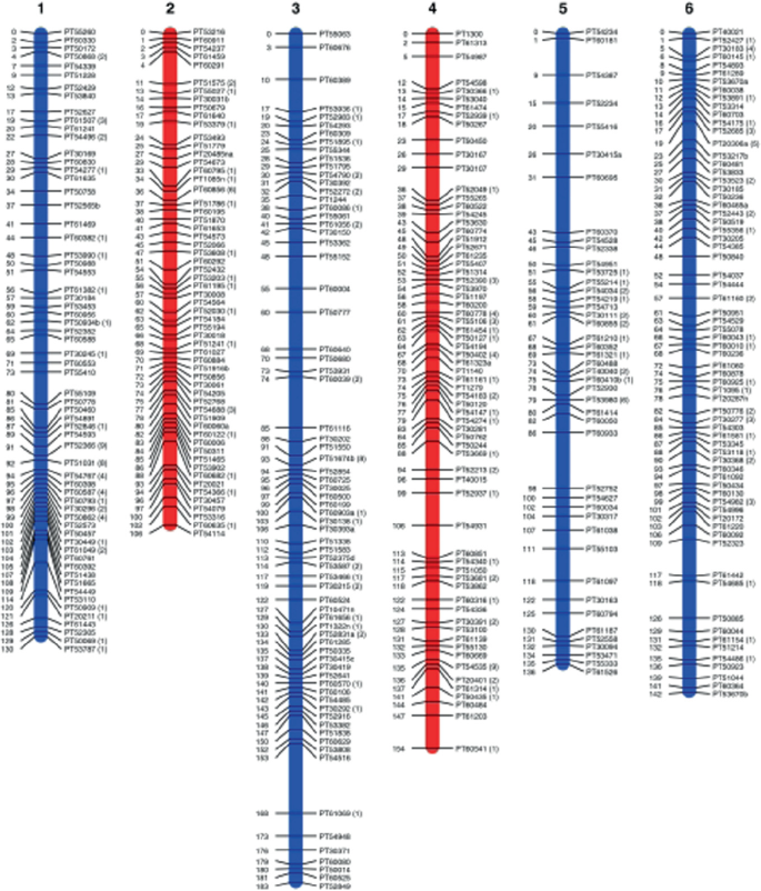 A diagram illustrates the map of tobacco. It includes an SSR-based linkage map with 1 to 6 linkage groups with 2318 SSR markers mapped covering a total length of 3270 centimorgan.