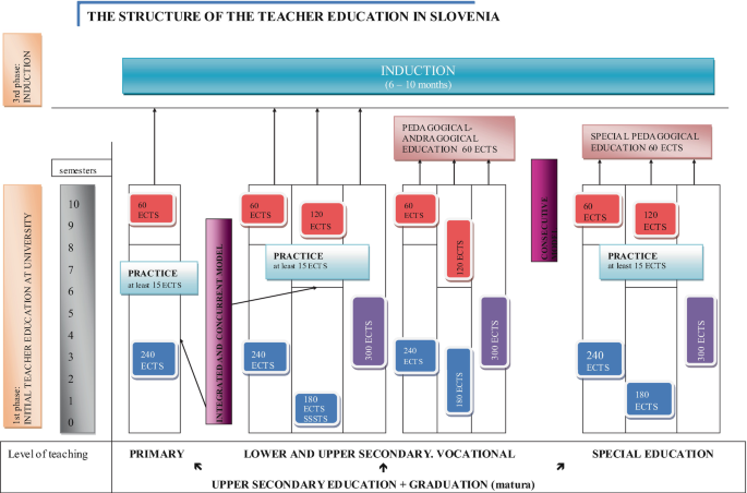 A structured framework illustrates the level of education in Solvenia. The diagram depicts a teacher's education from primary to secondary school.