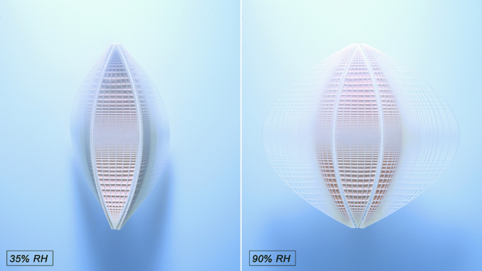 A set of 2 images of wood actuators. On the right, the actuator opens at 90% R H, while the actuator on the left closes at 35% R H.