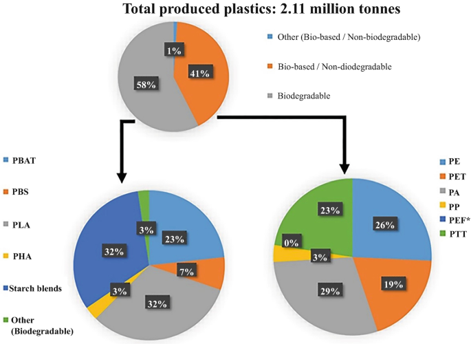 Environmental Impact of Biodegradation