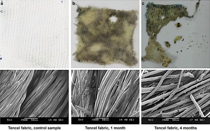 Research shows merino fabrics biodegrade rapidly