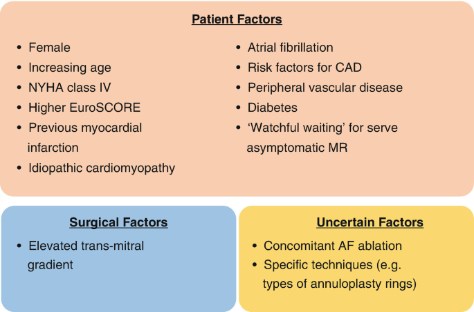 An illustration depicts 3 blocks titled patient factors at the top, surgical factors, and uncertain factors at the bottom. Each block contains a list of factors under the titles.