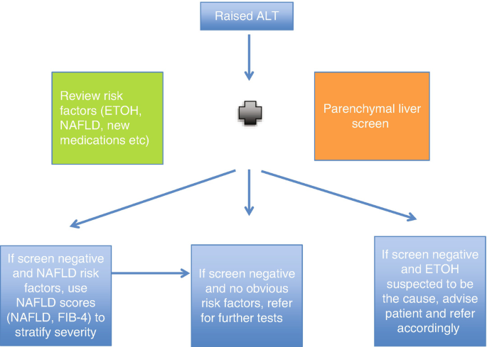 A flowchart begins with raised A L T followed by the addition of review risk factors plus parenchymal liver screen. From there, it branches into 3 guides.