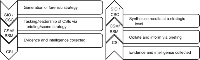 A block diagram marks the flow of strategies from S I O or C S C to C S M or B S M to C S I and the flow of information in the reverse direction.