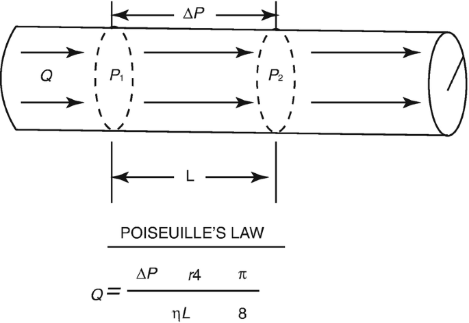 An illustration for Poiseuille's law. There is a horizontally drawn cylinder with 2 dotted circles inside the cylinder. They are labeled as, P 1 and P 2, respectively. The area between them is labeled as delta P above and L below. The area inside the cylinder at the left side of the P 1 circle is labeled as Q.