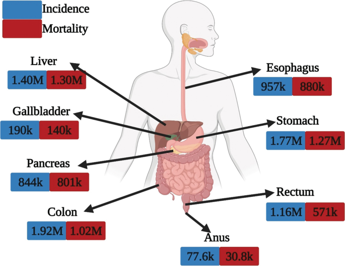 Chemotherapeutic Protocols for the Treatment of Gastrointestinal Tract  Cancer | SpringerLink