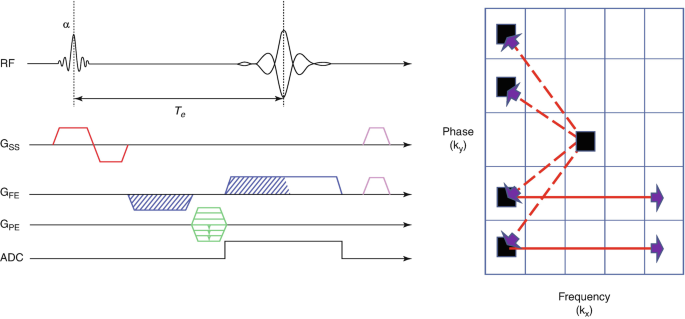 A gradient echo sequence when a R F pulse is used, along with gradients for slice selection, phase encoding, and frequency encoding. The received data is converted by K space.