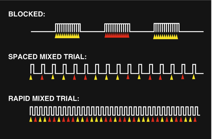 A part of the 3 f M R I paradigm. It has paradigms for blocked, space mixed trial, and rapid mixed trial.