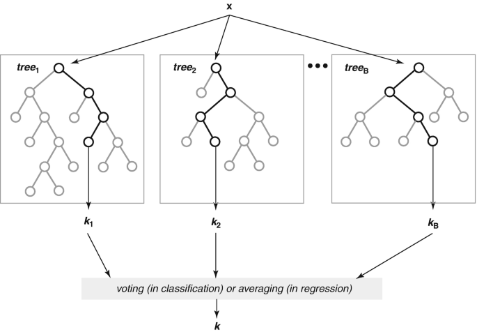 A tree diagram depicts the categorization of element X into trees 1, 2, and tree B. The downward arrows k 1, k 2, and k B lead to K via voting or averaging.