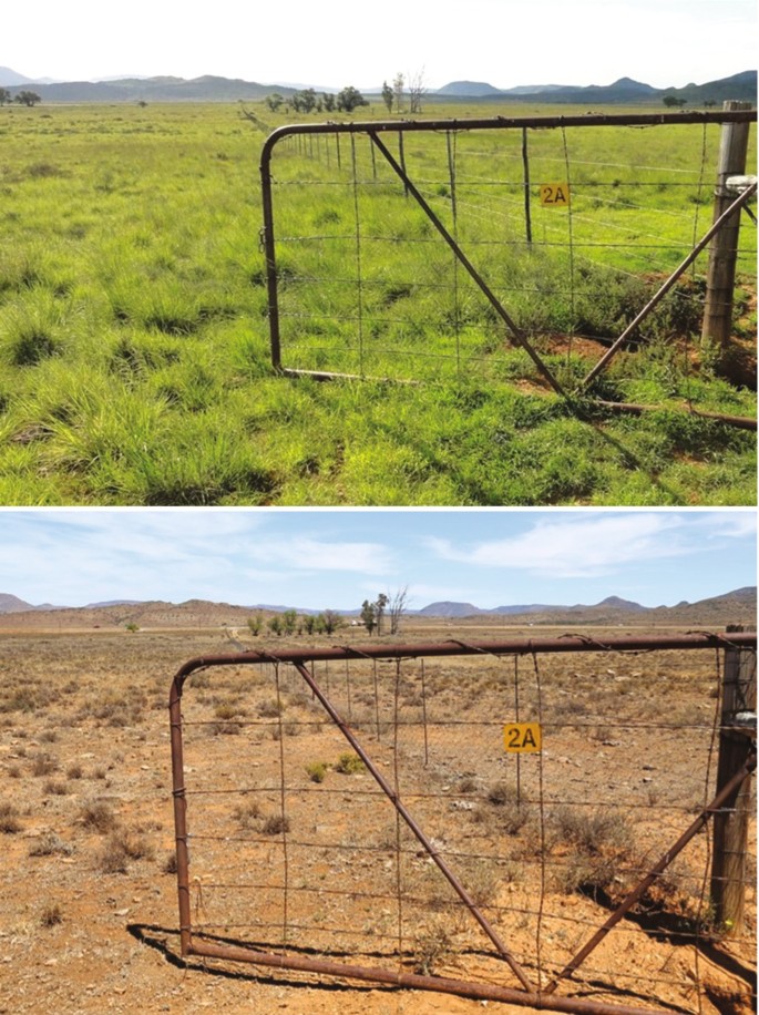 2 photographs of the same open landscape covered with lustrous grass and dried grass, respectively. The land is divided by a fence with a gate numbered 2 A.