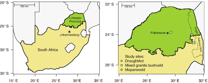 2 maps. 1. The left panel displays the map of South Africa, which highlights Limpopo province and Johannesburg. 2. The right panel displays the Limpopo province, which marks the drought act near Pdokwane, and mixed granite bushveld and Mopaneveld adjacent to the Kruger National Park.