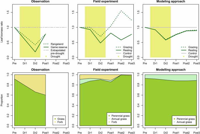6 graphs in 3 rows and columns. The column headers are observation, field experiment, and modeling approach. The row headers are leaf biomass ratio and proportion. The extrapolated and control lines are flat at the center in the graphs of the first row. Grass and perennial grass share the maximum area in the graphs of the second row.