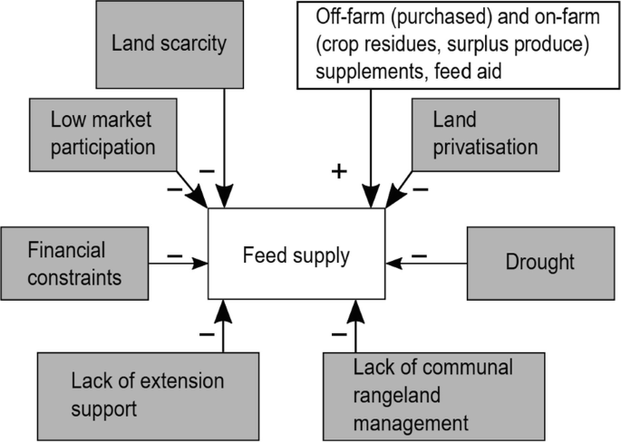 A concept map has the following labels: feed supply surrounded by land scarcity, land privatization, drought, lack of communal rangeland, lack of extension support, financial constraints, and low market participation.