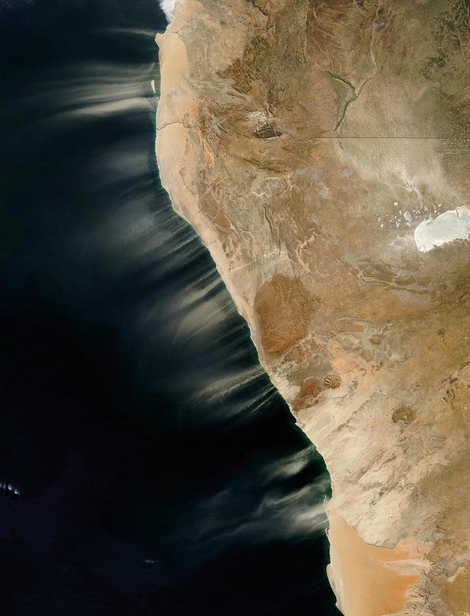 A satellite image of a dust plume, and is a long, thin line of dust that extends from the coast into the Atlantic Ocean.