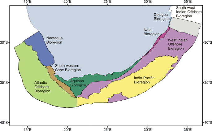 A geological map of a basin. The map exhibits the different types of shores that are present in the basin, as well as the different structures that are present in the basin.
