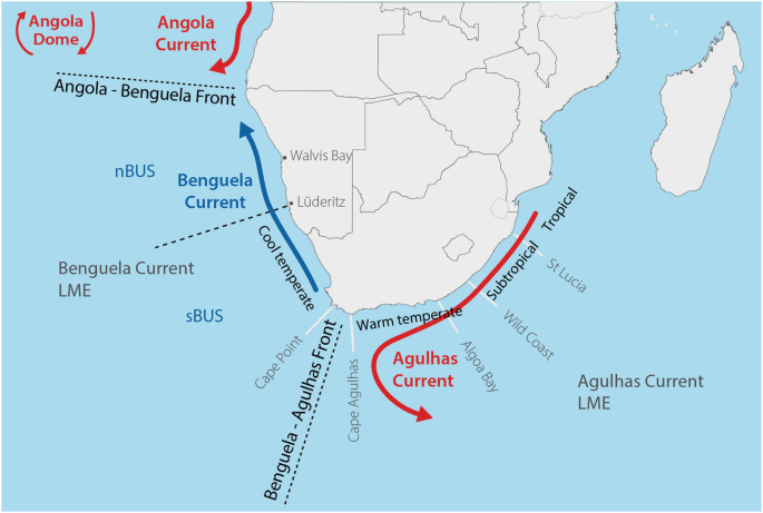 A map of the current systems around Africa. They are indicated by arrows, the width of which denotes the current's strength. The arrow colors represent the current's temperature.