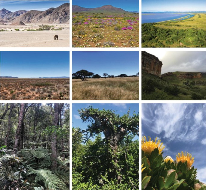 A collage of different types of landscapes. The collage includes photos of mountains, forests, deserts, and beaches. The images are all high-resolution and well-lit, and they exhibit the different landscapes in great detail.