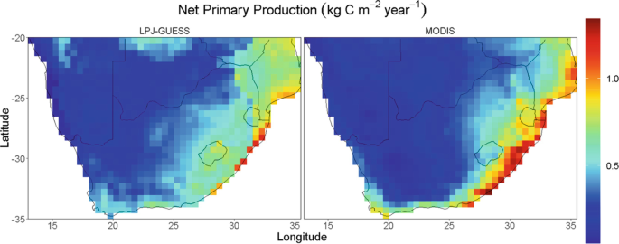 2 color-coded maps, labeled L P J GUESS on the left and MODIS on the right, illustrate the net primary production, with nearly identical values.