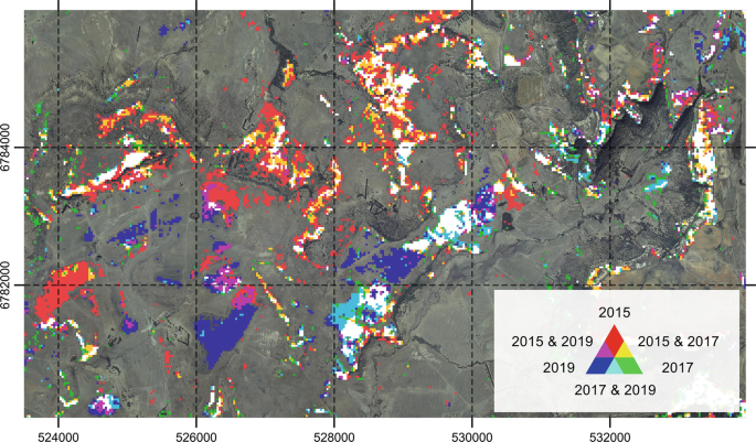 A color-coded satellite map of Mantsopa study area. Indicates dominant presence of slangbos distributed throughout, while persistent slangbos occurs near the central, north eastern, and south western regions.