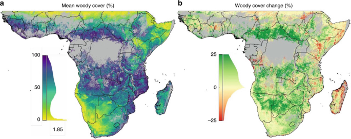 Two maps of the southern part of Africa. They depict mean woody cover and woody cover change.