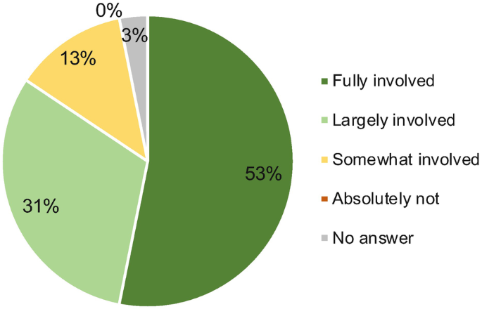 A pie chart with the following values in percentage. The values are 53 for fully involved, 31 for largely involved, 13 for somewhat involved, and 3 for no answer.