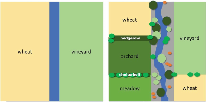 An illustration of the concept of differentiated land use on a farm. The crops illustrated are wheat, vineyard, orchard, and meadow.
