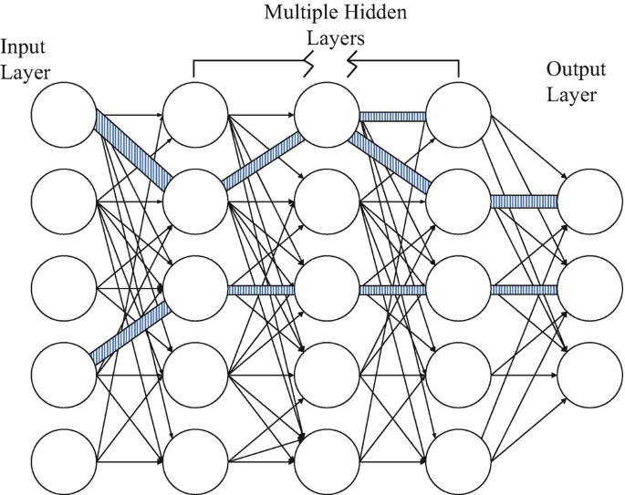 A schematic of a neural network consists of an input, multiple hidden, and an output layer. All the layers are interconnected with multiple lines.