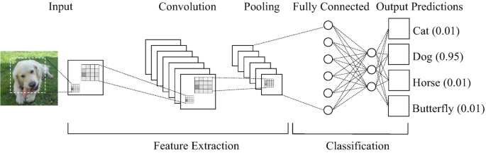 An illustration depicts the architectural parts as follows. Input, convolution, and pooling are feature extraction, and fully connected and output prediction is classification.