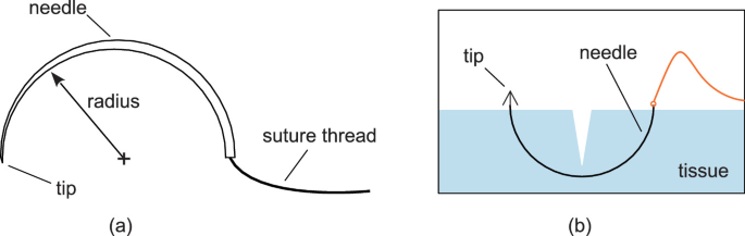 Needle tips: (a) 3-bevel tip; (b) 5-bevel tip. Source: Norman and